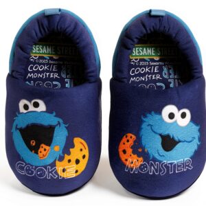 Sesame Street Slippers Toddler Fleece Boots Kids House Shoes-0