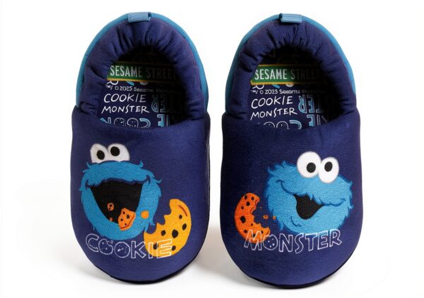 Sesame Street Slippers Toddler Fleece Boots Kids House Shoes-0