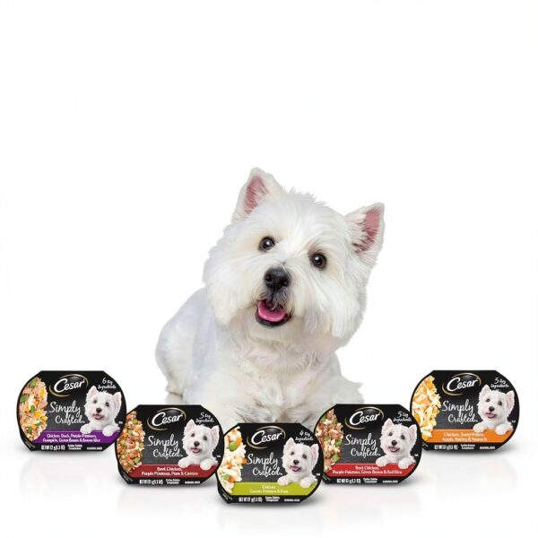 Cesar Simply Crafted Dog Food Real Chicken Topper Wet-7