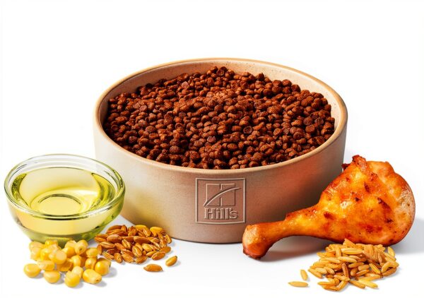 Hills Science Diet Dry Dog Food Chicken Brown Rice Puppy-2