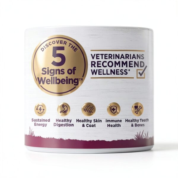 Wellness Dry Dog Food Turkey Oatmeal Natural Nutrition-1