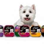 Cesar Dog Food Wet Variety Pack Real Meat Protein-0