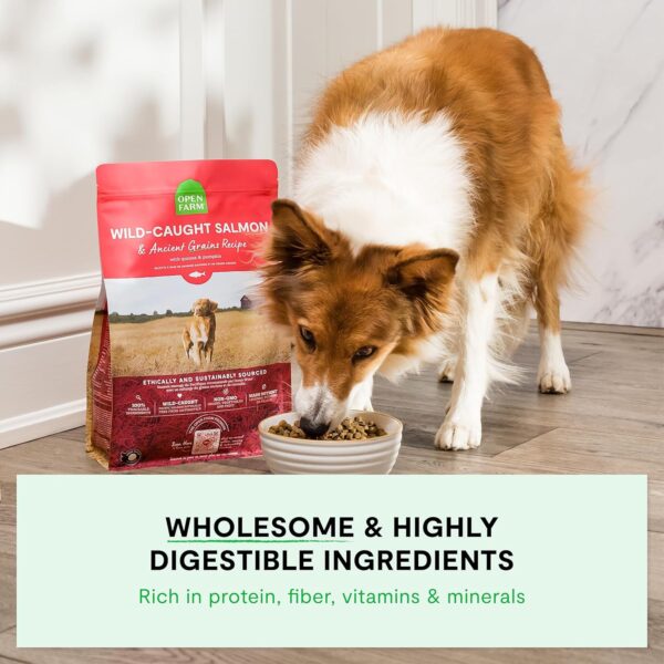 Open Farm Ancient Grain Dog Food High Protein Sensitive-2