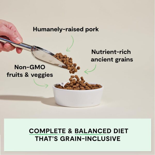 Open Farm Ancient Grain Dog Food High Protein Sensitive-1