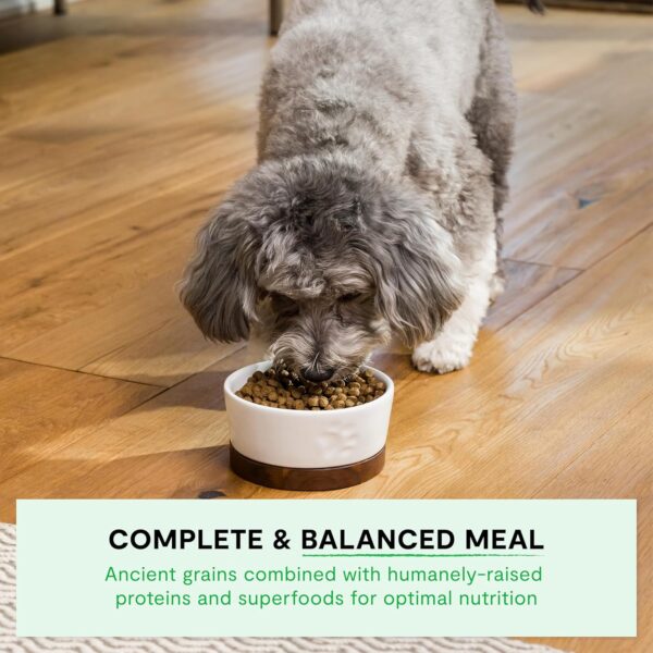 Open Farm Ancient Grain Dog Food High Protein Sensitive-3