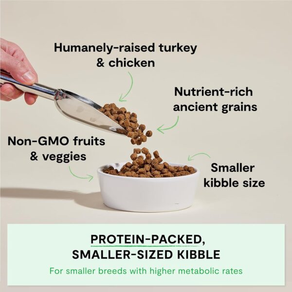 Open Farm Ancient Grain Dog Food High Protein Sensitive-1