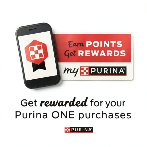 Purina ONE Lamb & Rice Dog Food-9