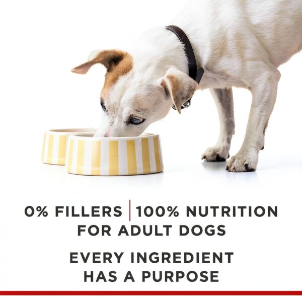 Purina Canned Dog Food Real Chicken High Protein-4