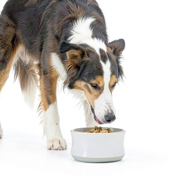 Purina ONE Lamb & Rice Dog Food-6